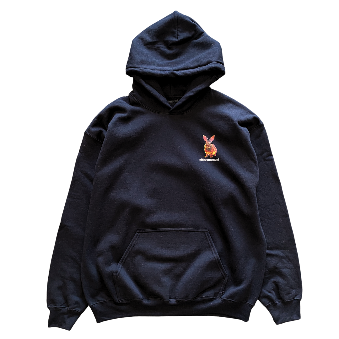 Sunshine Bunny Hoodie