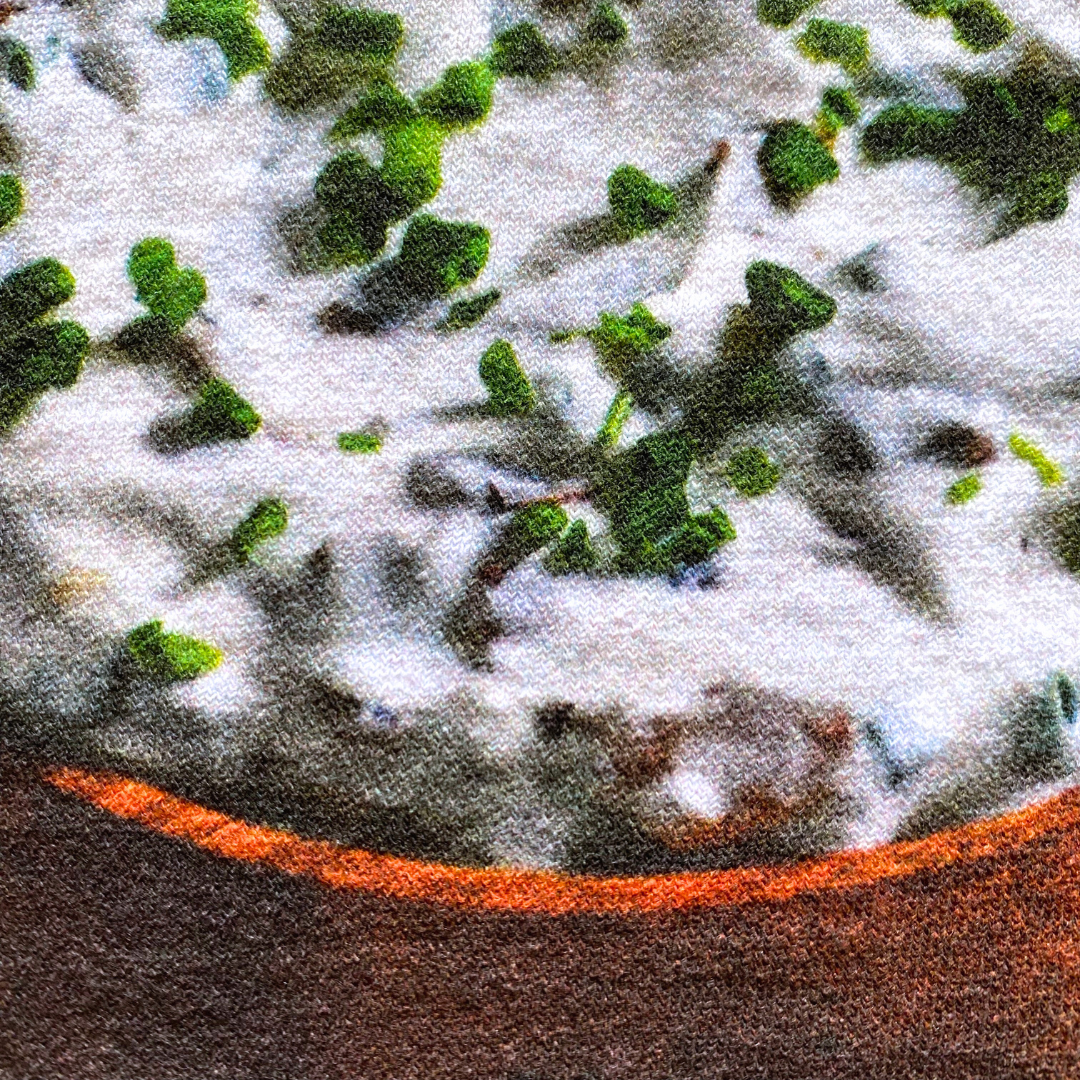 Sour Cream and Onion v2 Tee