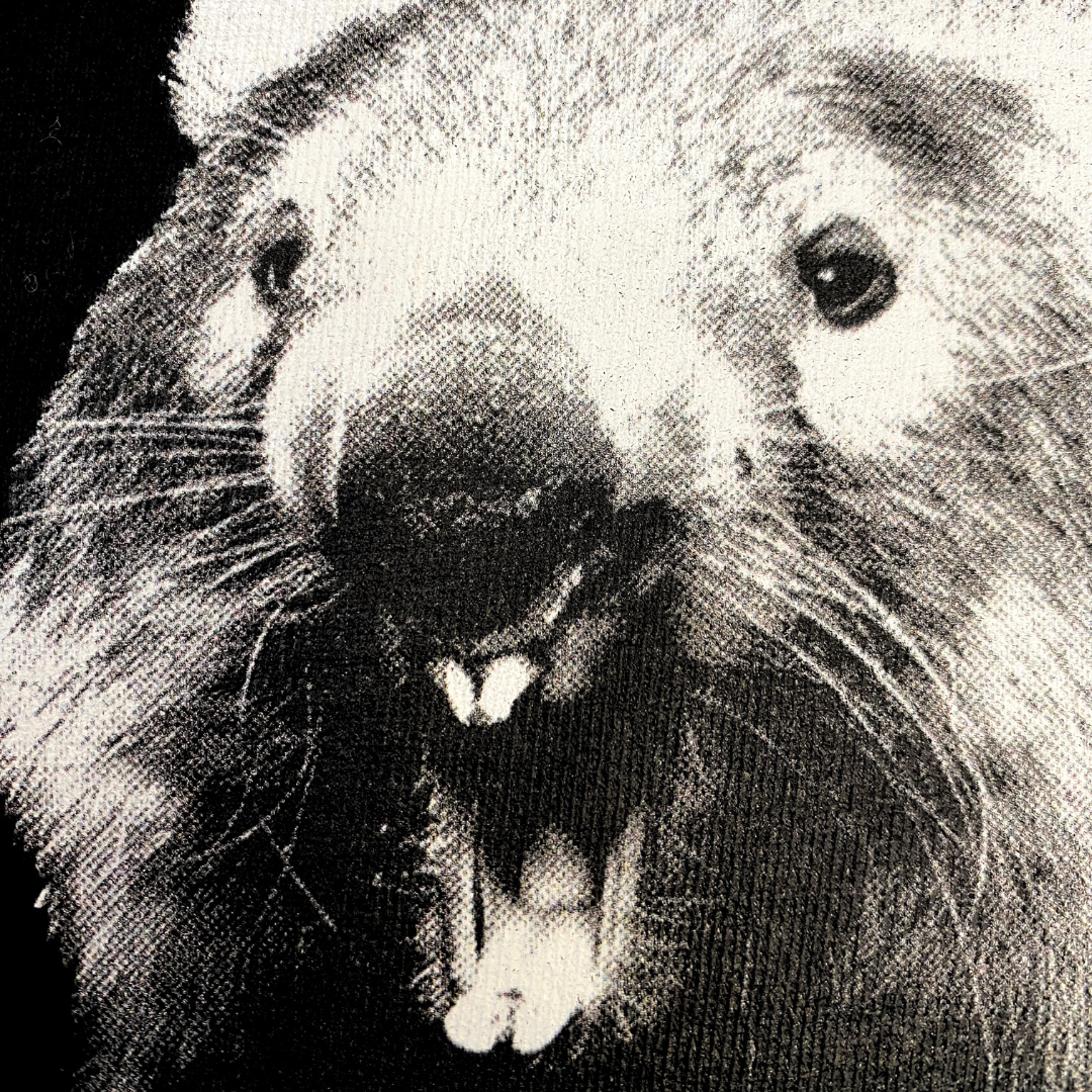 Wombat Tee