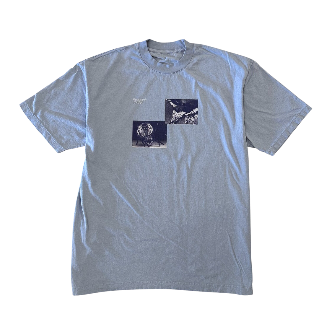 Peacock Spider Tee