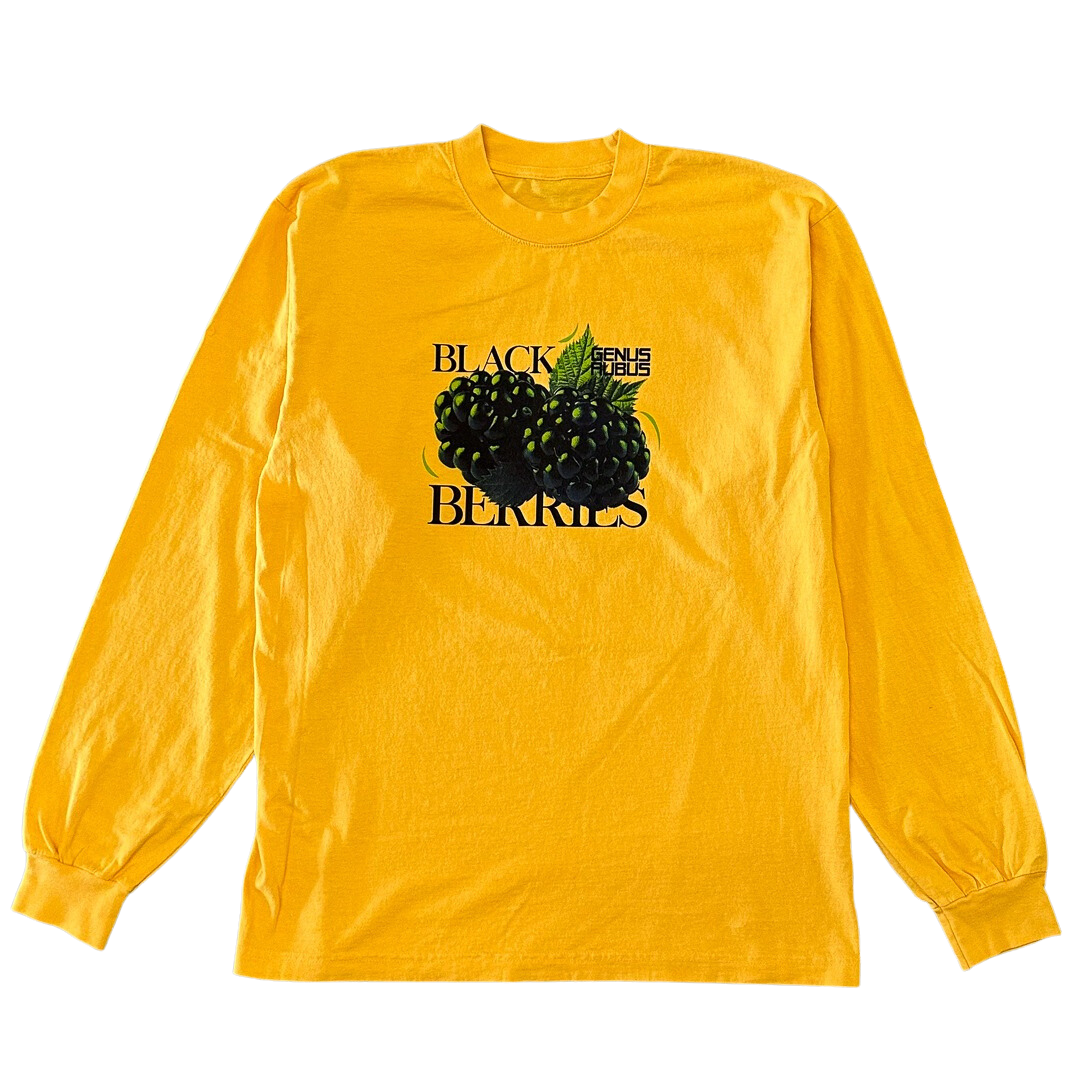 Saturated Blackberries L/S