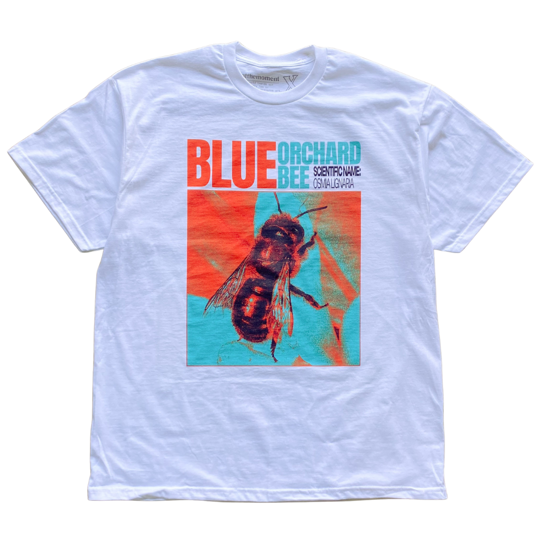 Framed Blue Orchard Bee Tee