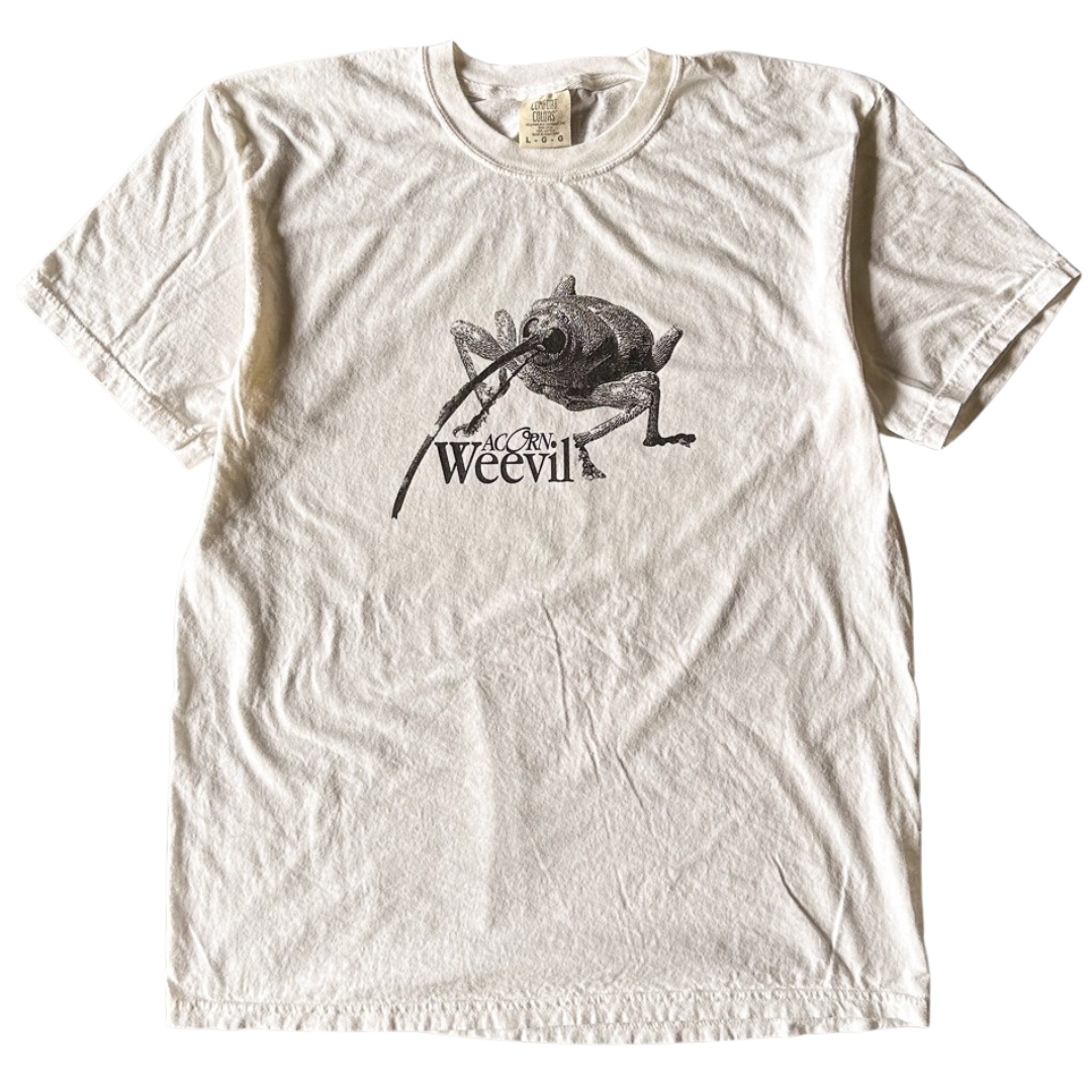 Acorn Weevil Tee