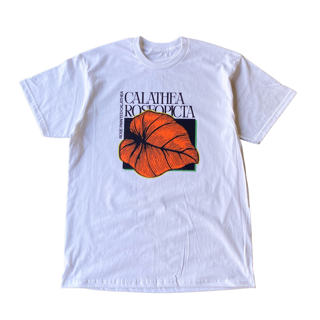 Calathea Roseopicta Tee