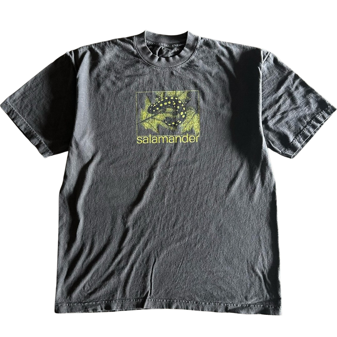 Framed Salamander Tee