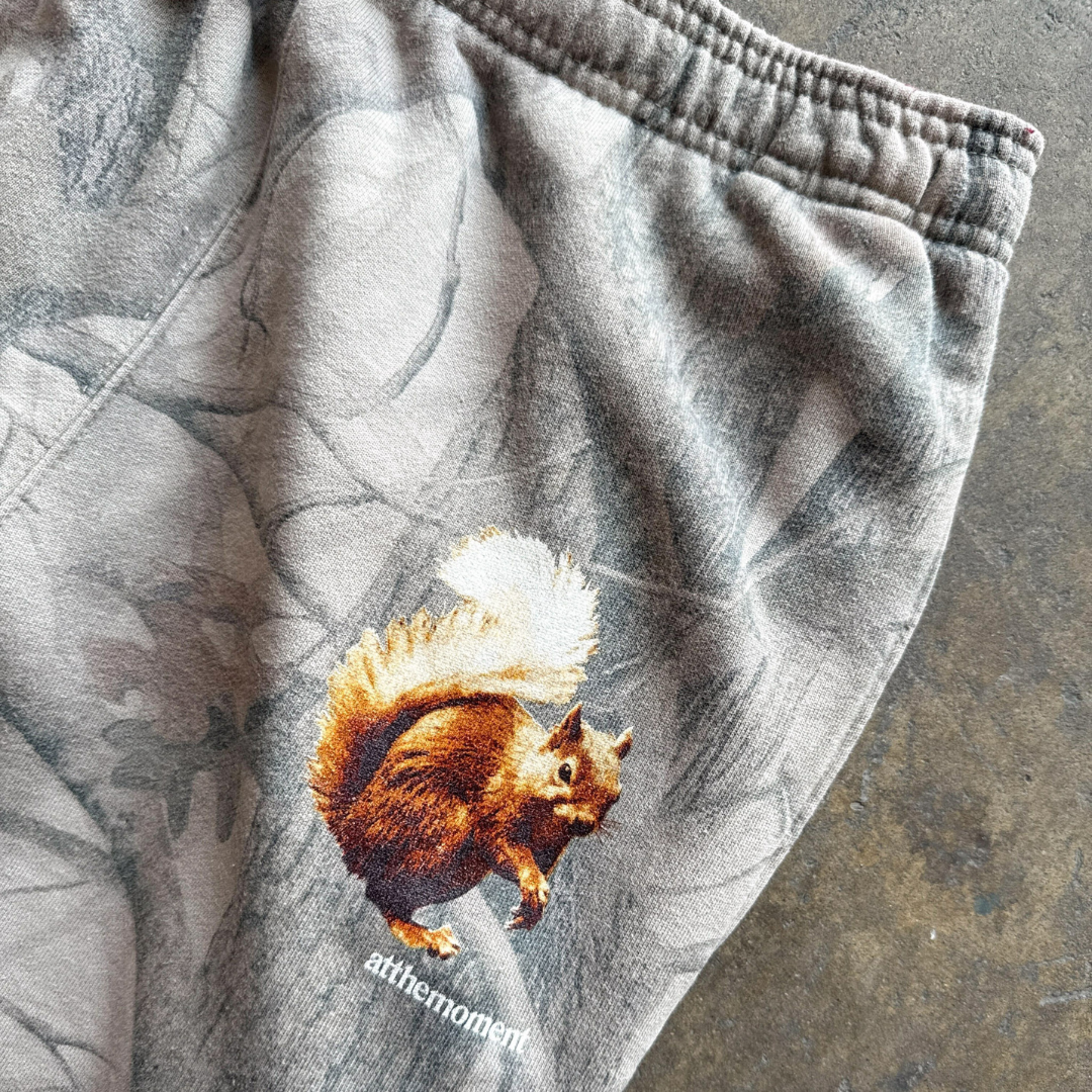 Squirrel Sweatpants