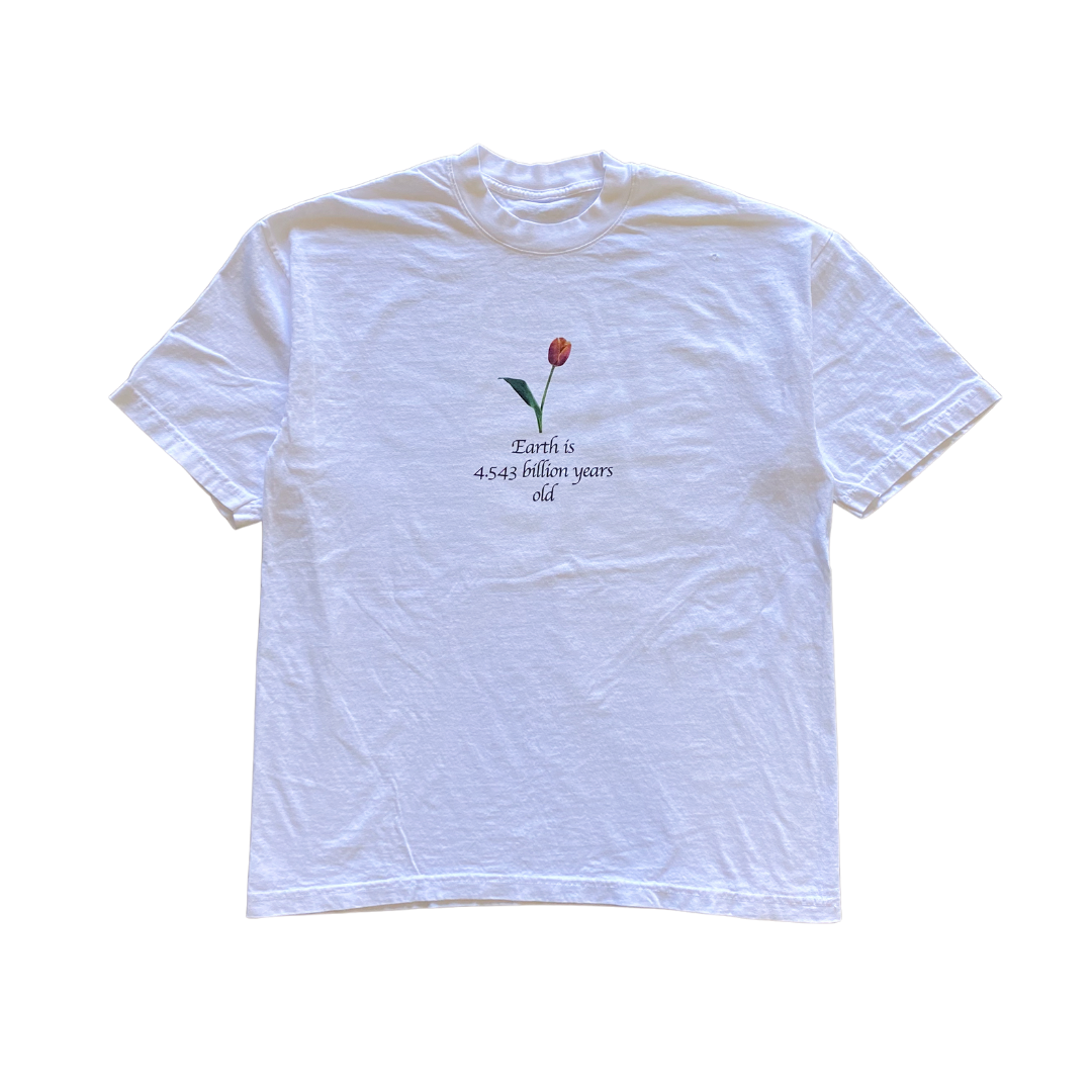 4.543 Billion Years Tee