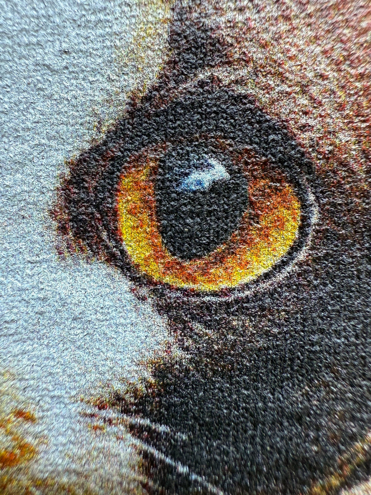 Cornish Cat Stand Tee