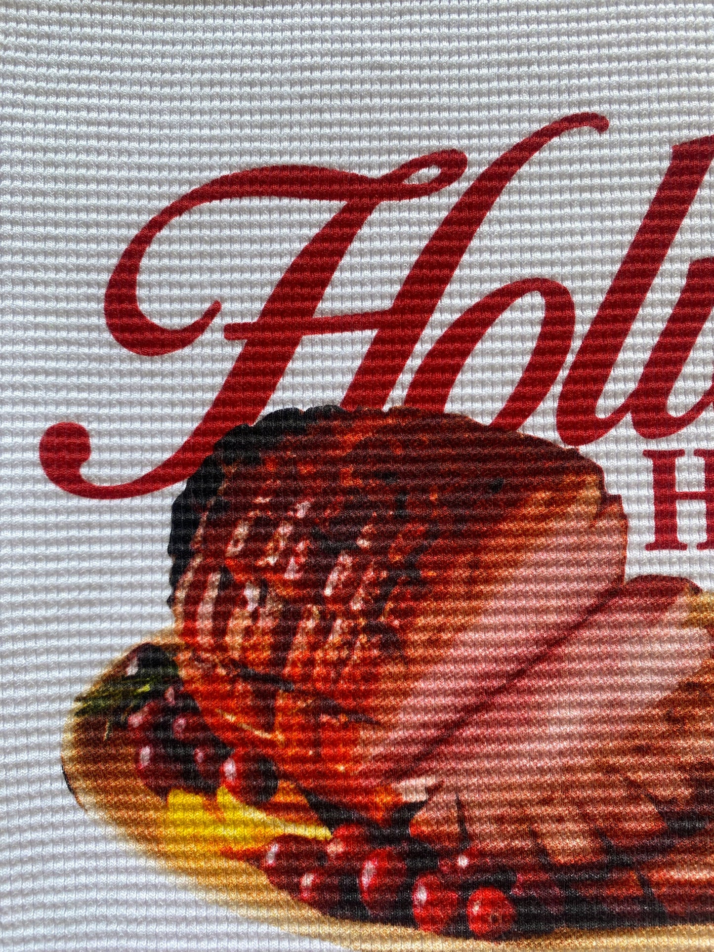 Holiday Ham v1 Thermal