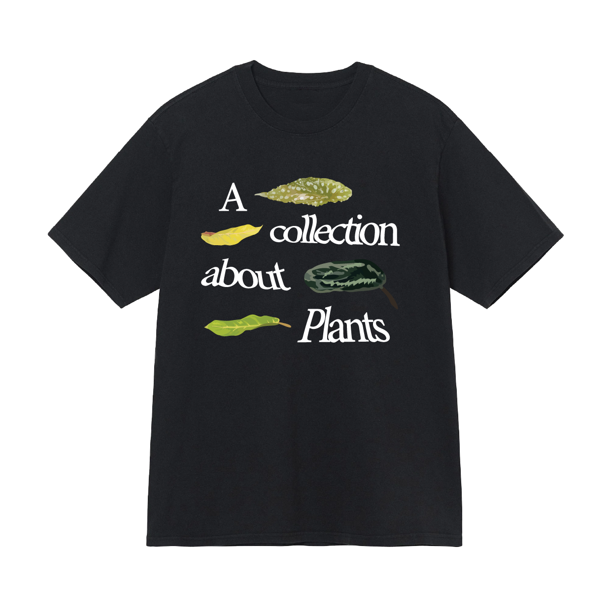 T-shirt collection de plantes
