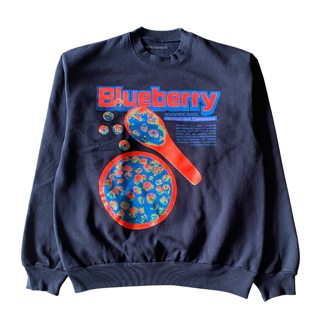 Blueberry sweatshirt hot sale