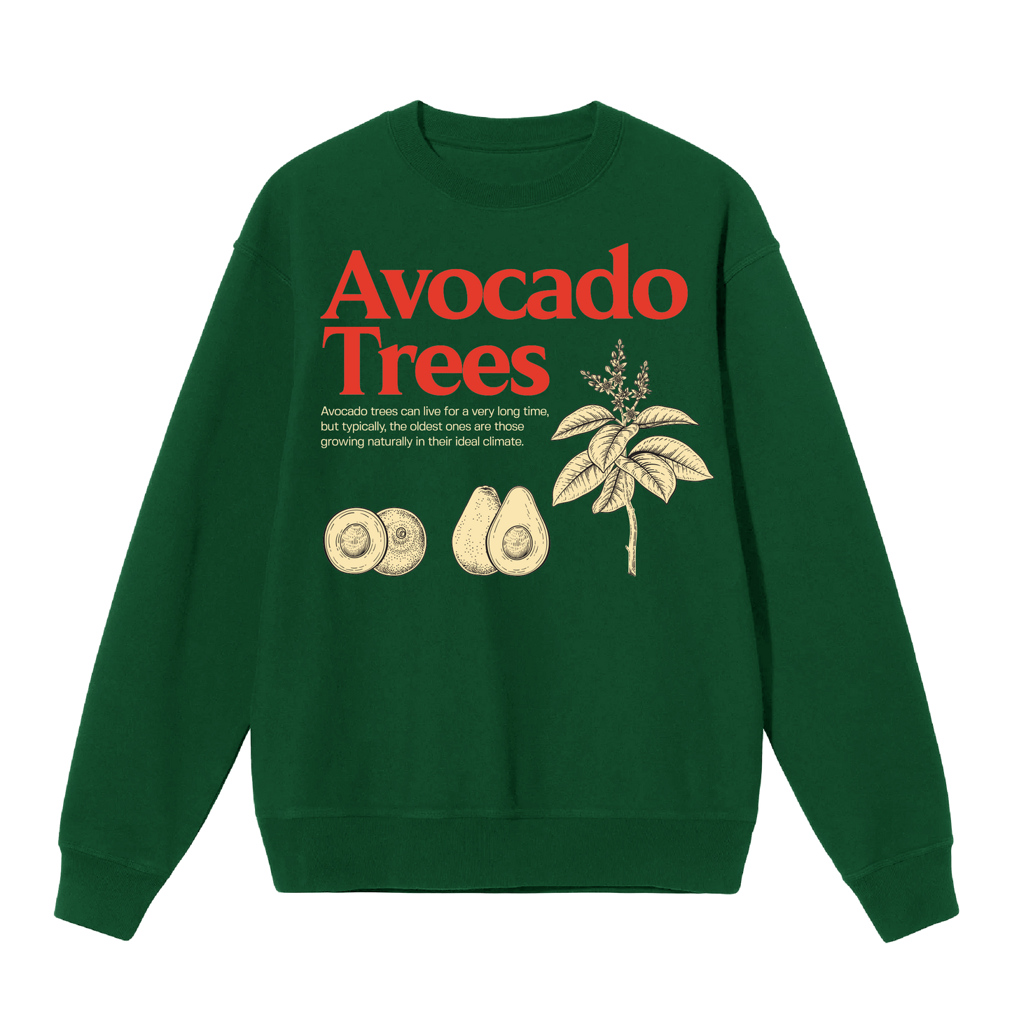 Pull ras du cou avocatiers