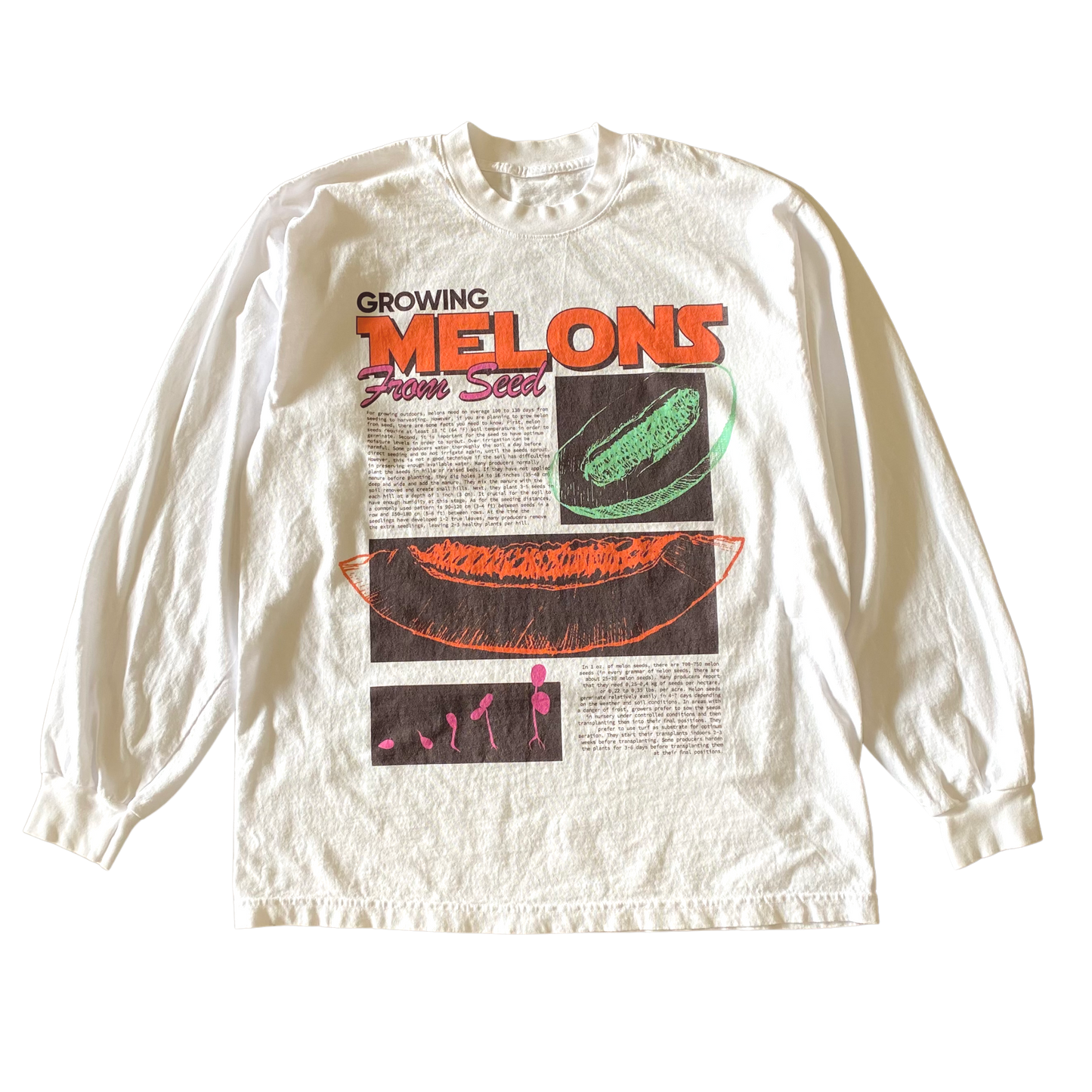 Cultiver des melons L/S