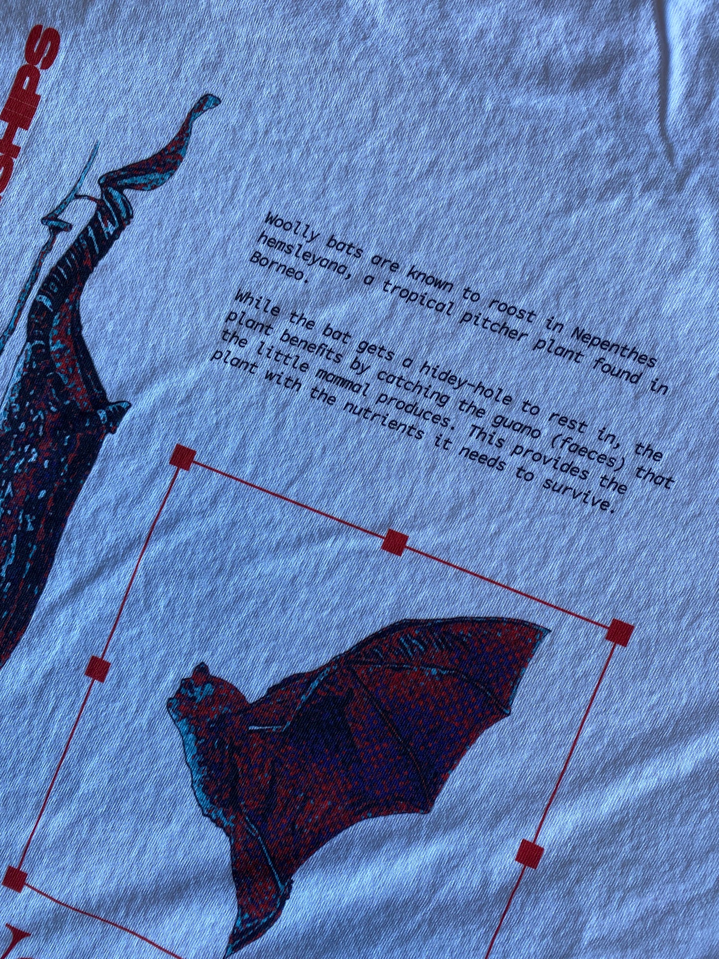 Woolly Bats and Pitcher Plants v1 Tee