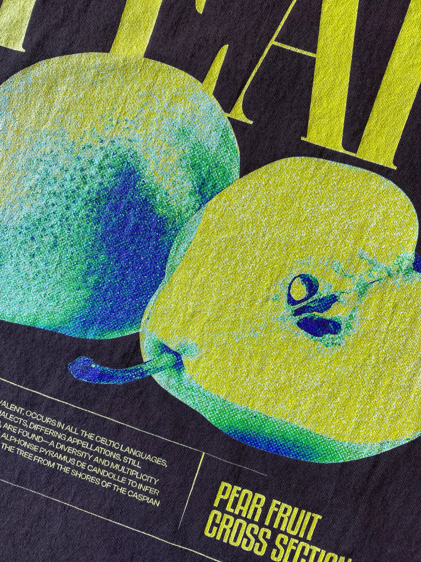 Pear Fruit Cross Section Tee