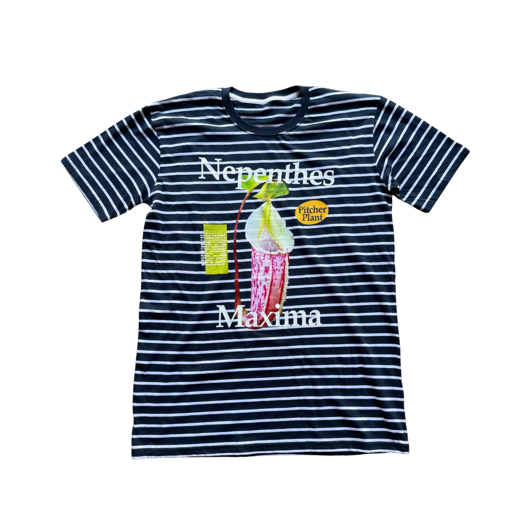 Nepenthes Maxima Striped Tee