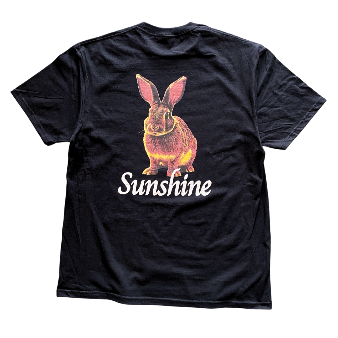 Sunshine Bunny Tee