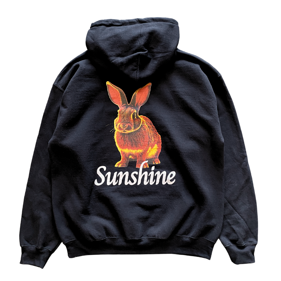 Sunshine Bunny Hoodie