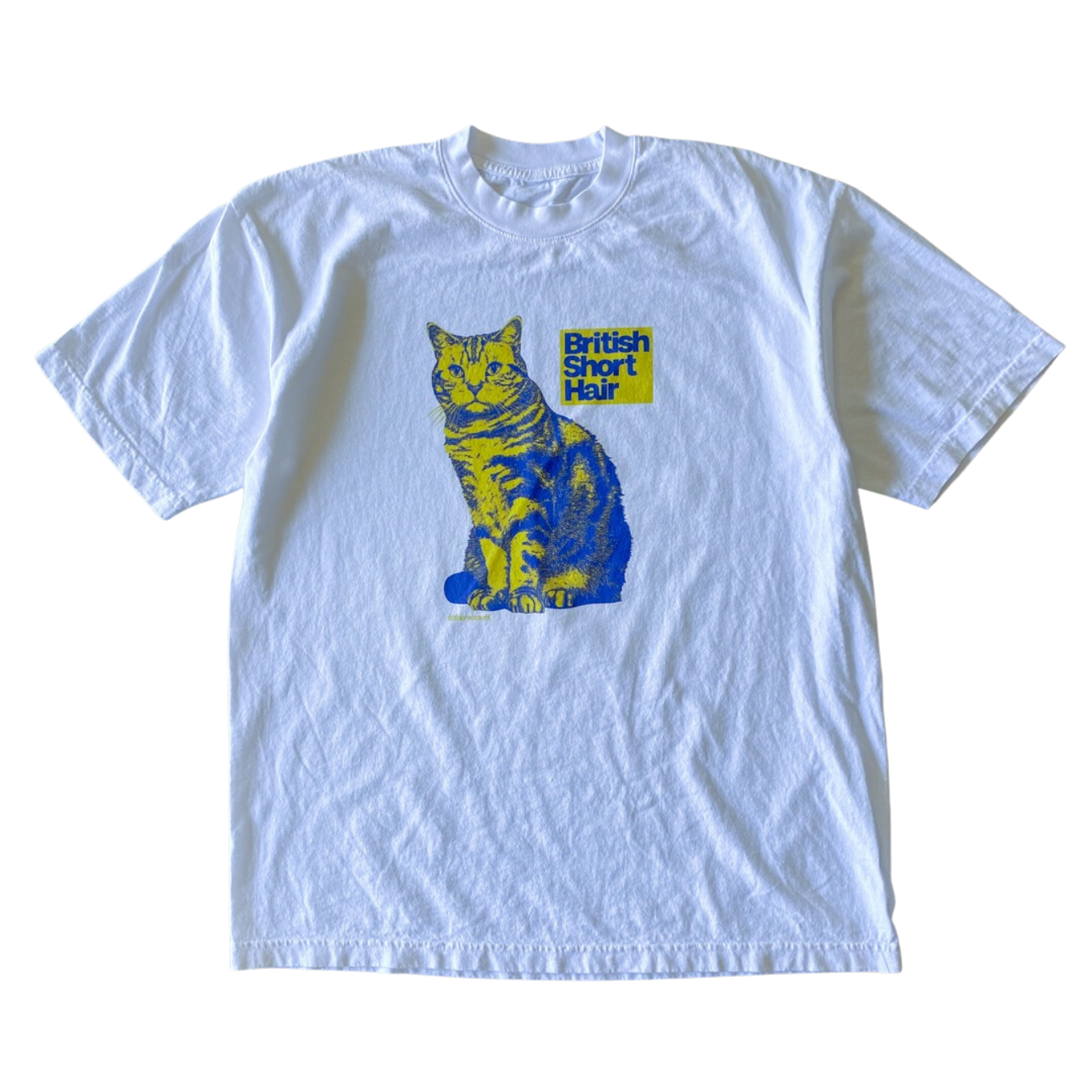 Blue and Yellow British Short Hair Tee