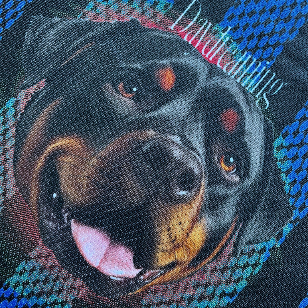 Daydreaming Rottweiler Jersey