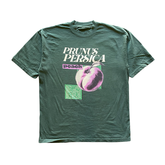 Prunus Persica Tee