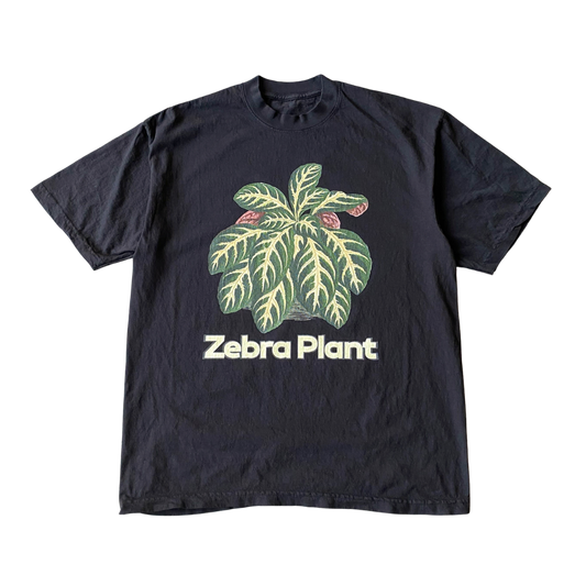 T-shirt plante zèbre
