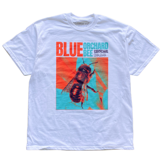Framed Blue Orchard Bee Tee