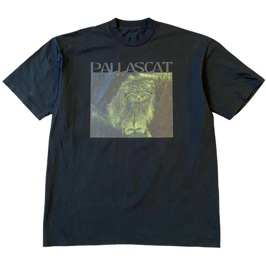 Pallas Cat Mean Mug Tee