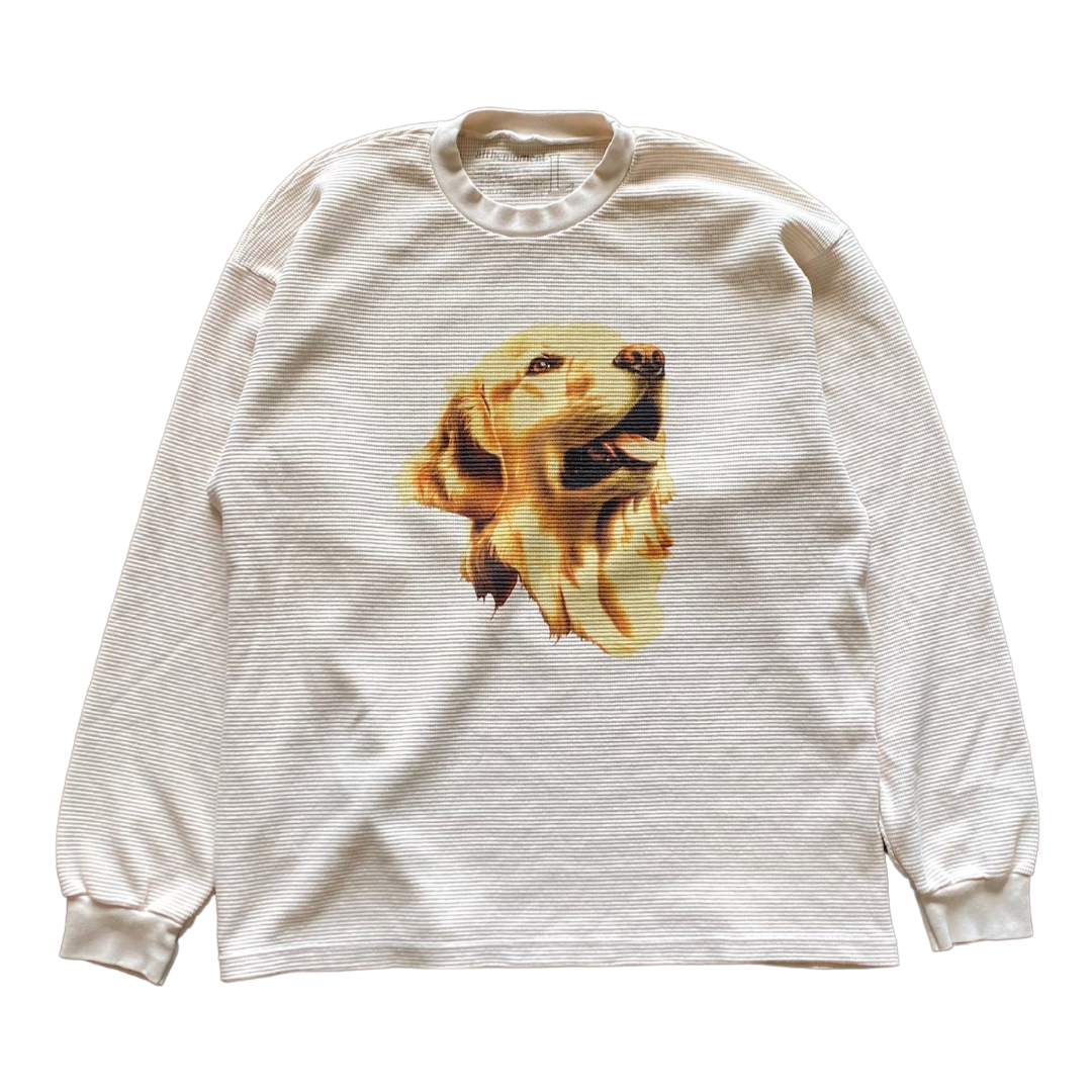 Golden Retriever Face Thermal