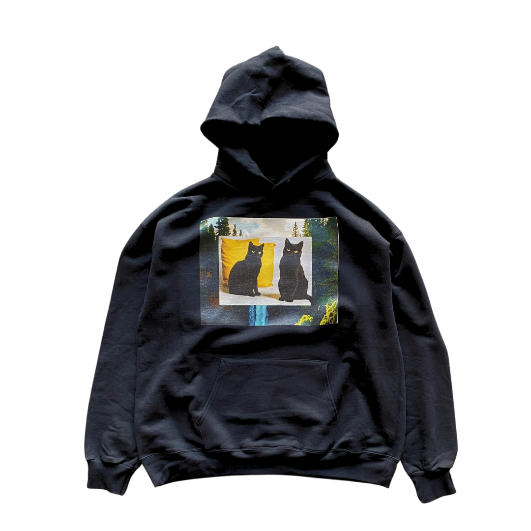 Cat Stills Hoodie