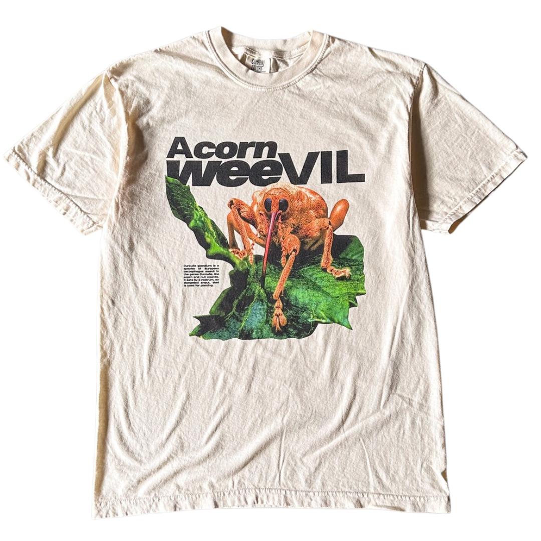 Acorn Weevil Stare Tee