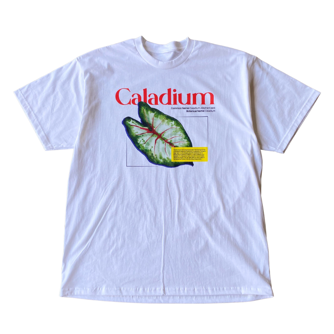 Caladium Tee