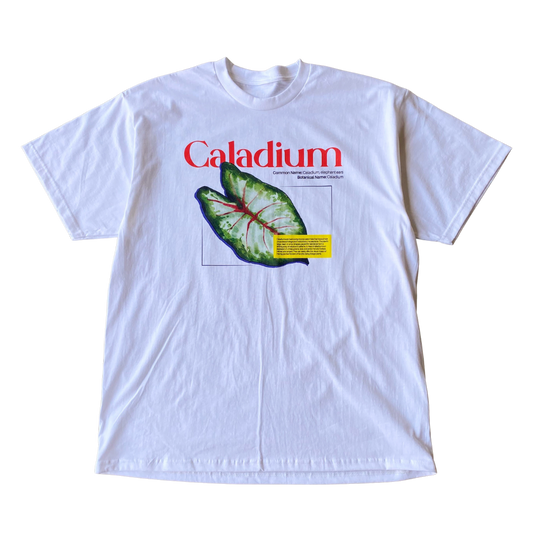 T-shirt en caladium
