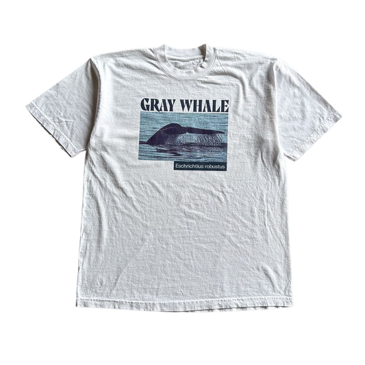 Gray Whale Tail Tee