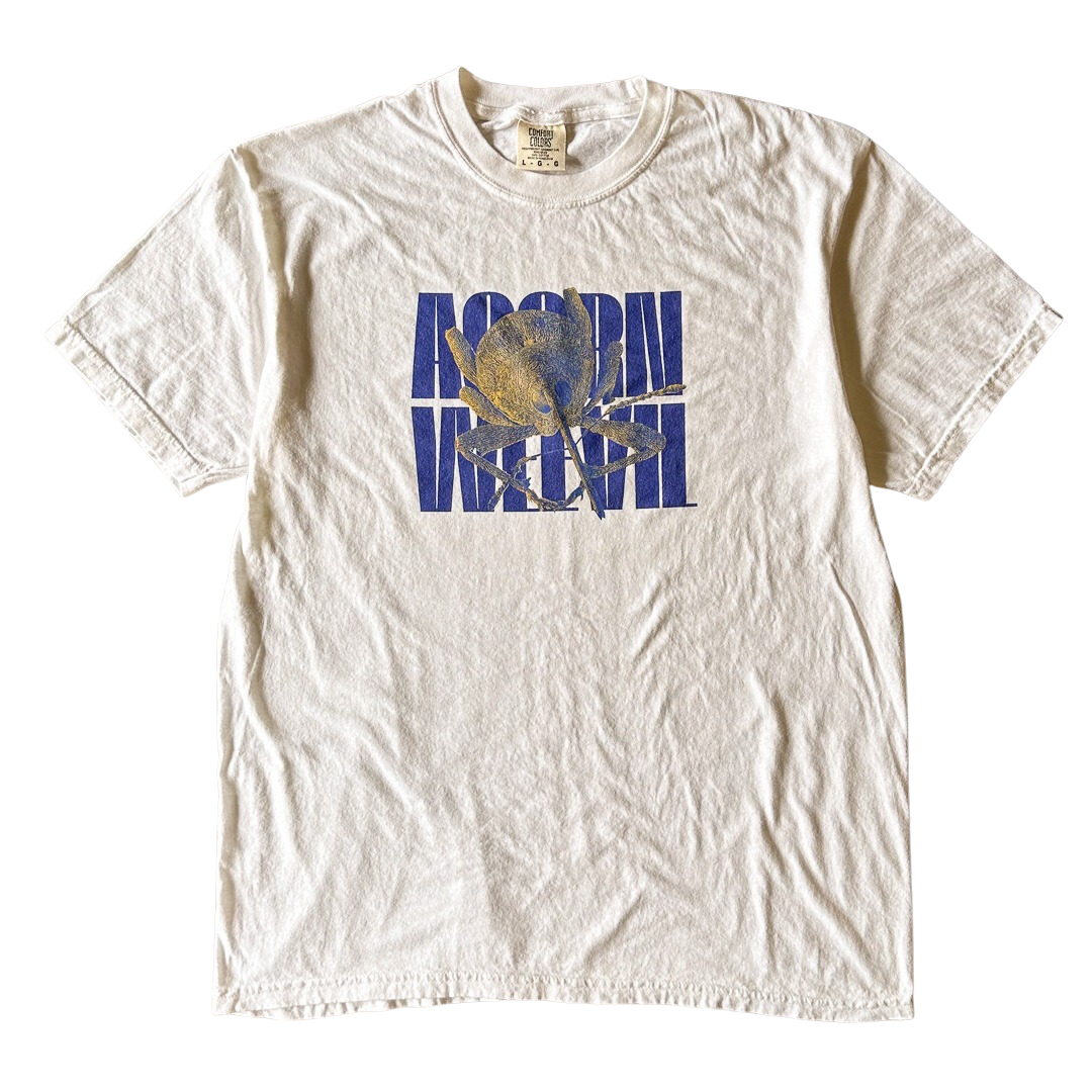 Yellow Acorn Weevil Tee