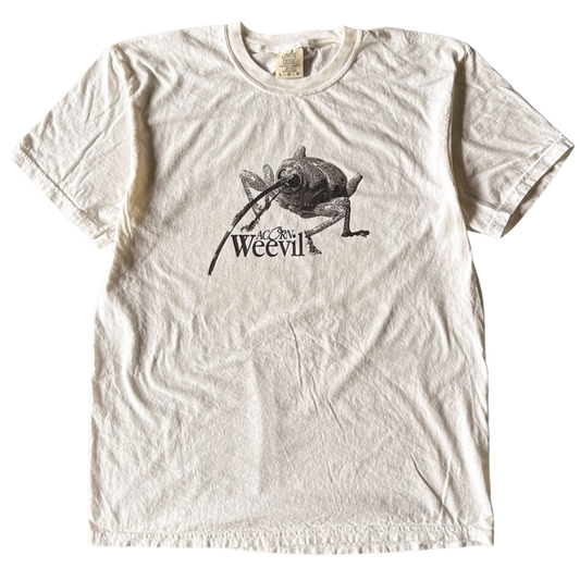 Getigerte Katze mit Fisch-T-Shirt