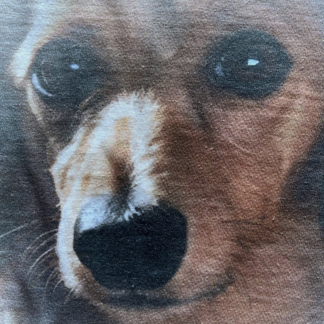 Dachshund Face Tee