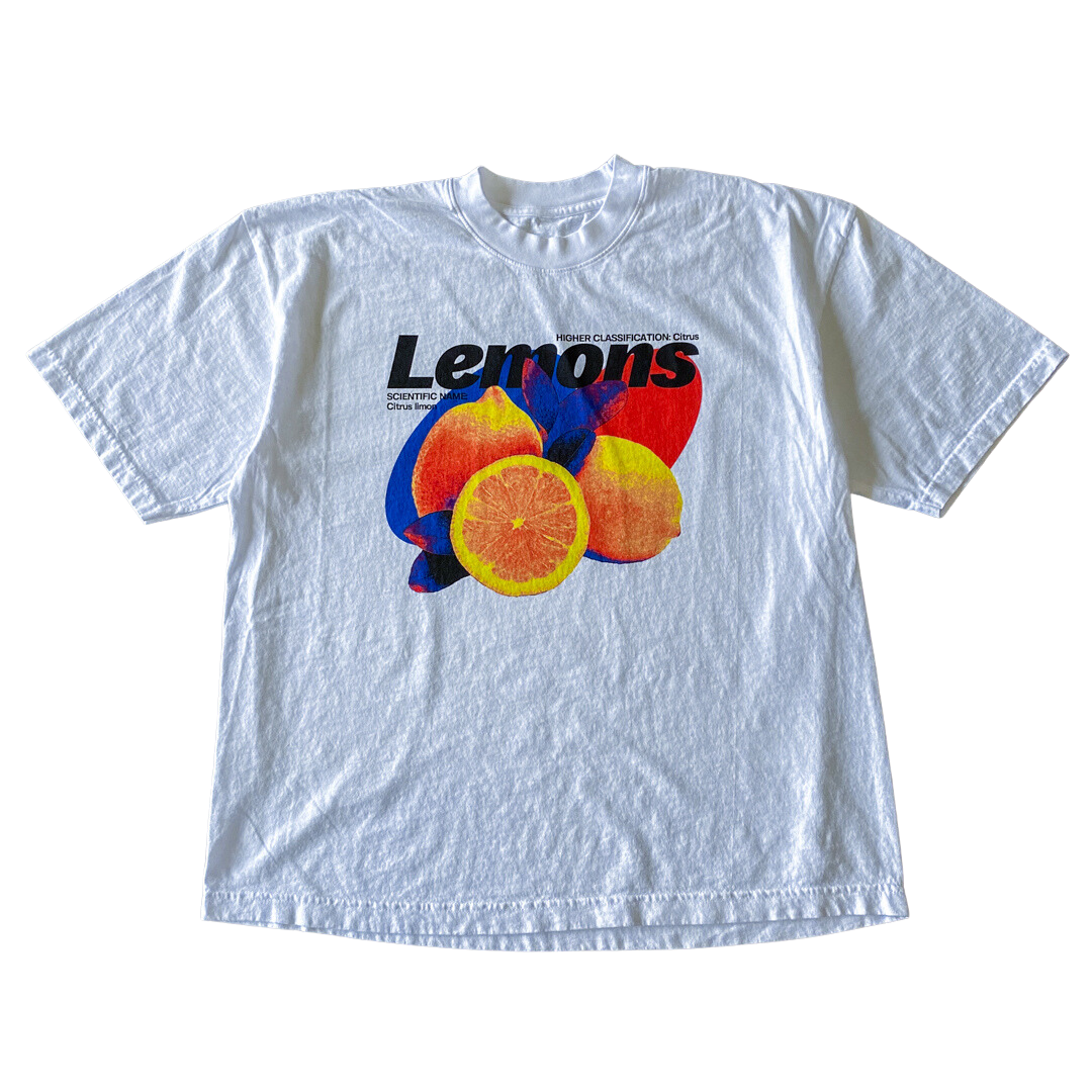 Zitronen v1 T-Shirt