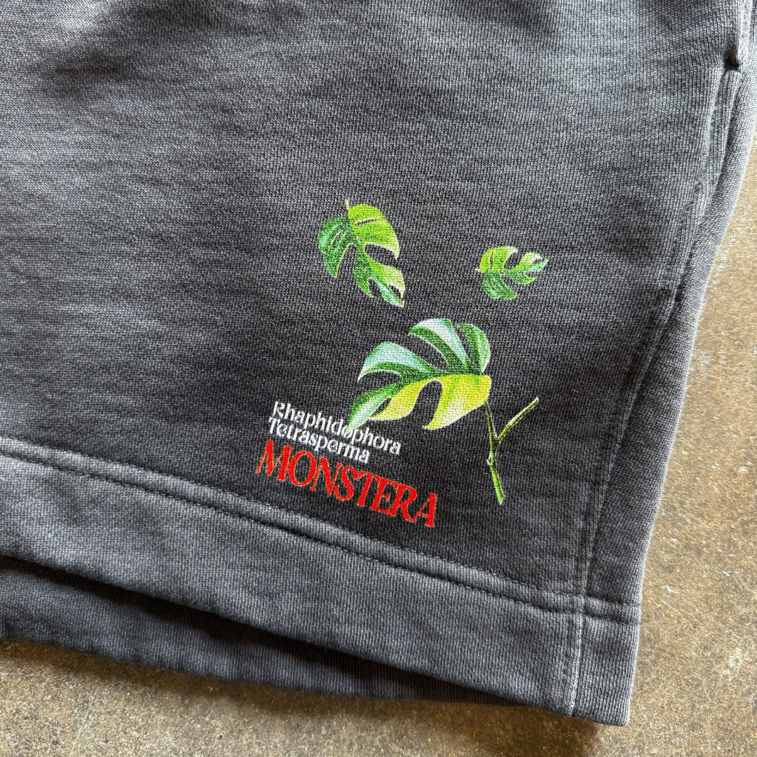 Monstera v4 Track Shorts