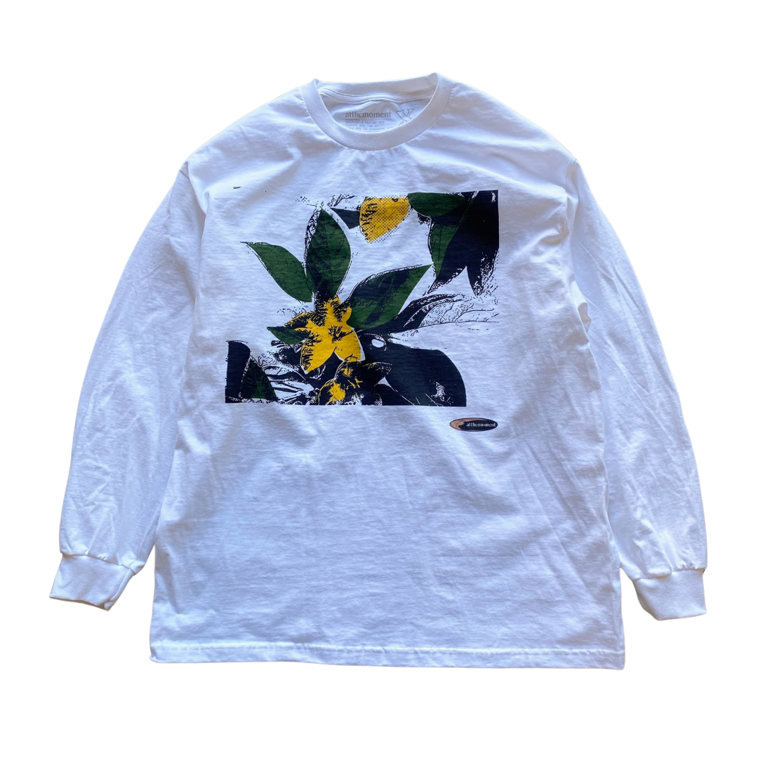 Weigela Art L/S