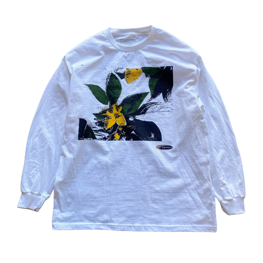 Weigela Art L/S