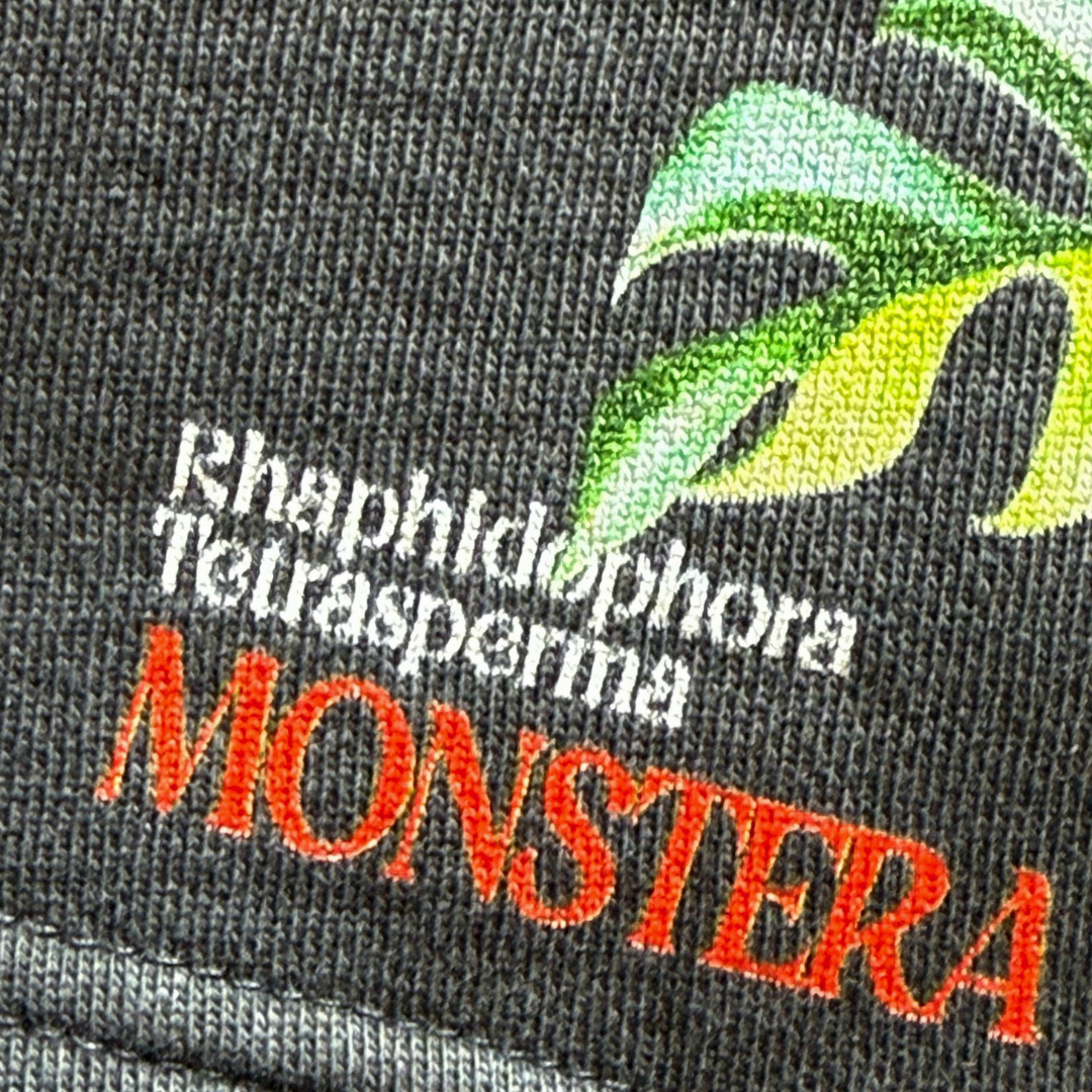 Monstera v4 Track Shorts