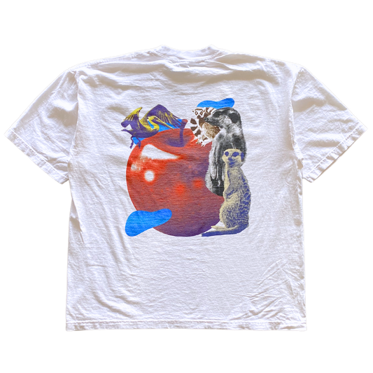 Protect The Apple Tee