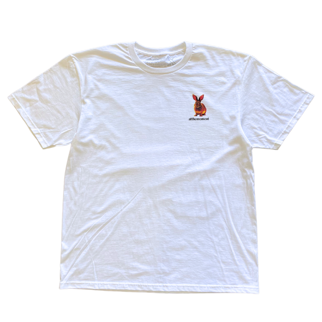 Sunshine Bunny Tee