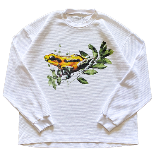 Poison Dart Frog Thermal