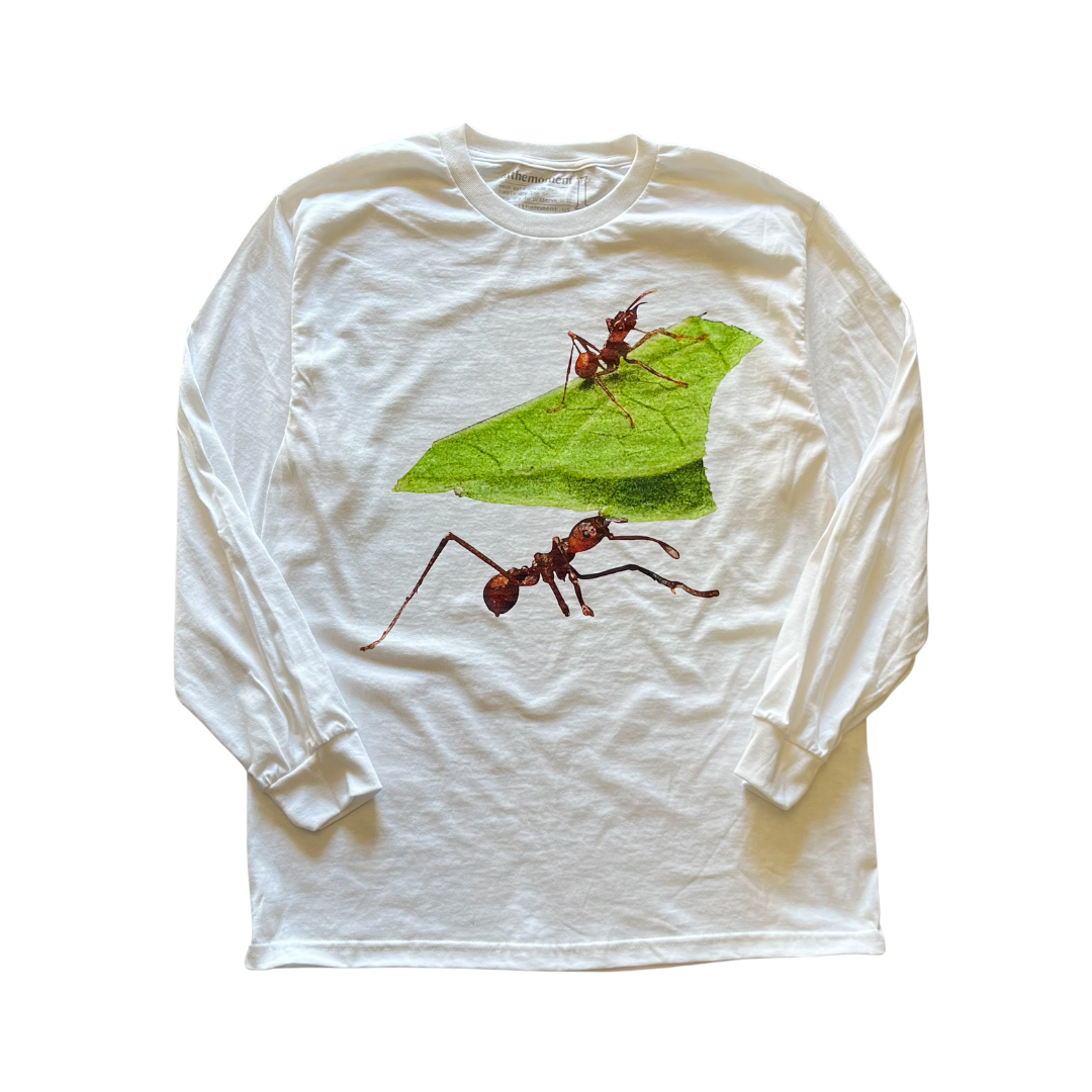 Ant Leaf L/S