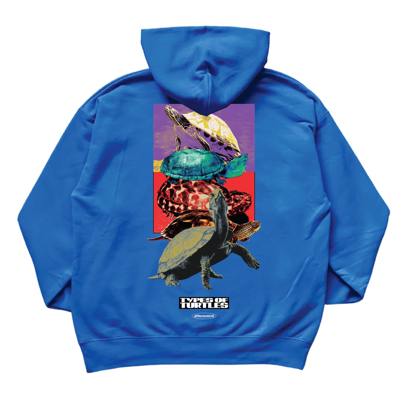 Types of Turtles Hoodie