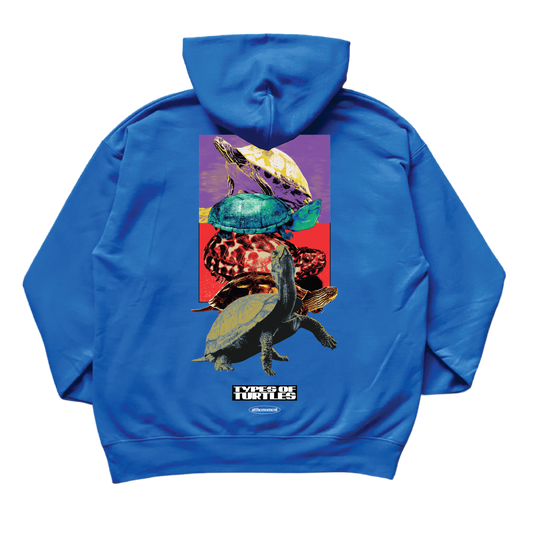 Types of Turtles Hoodie