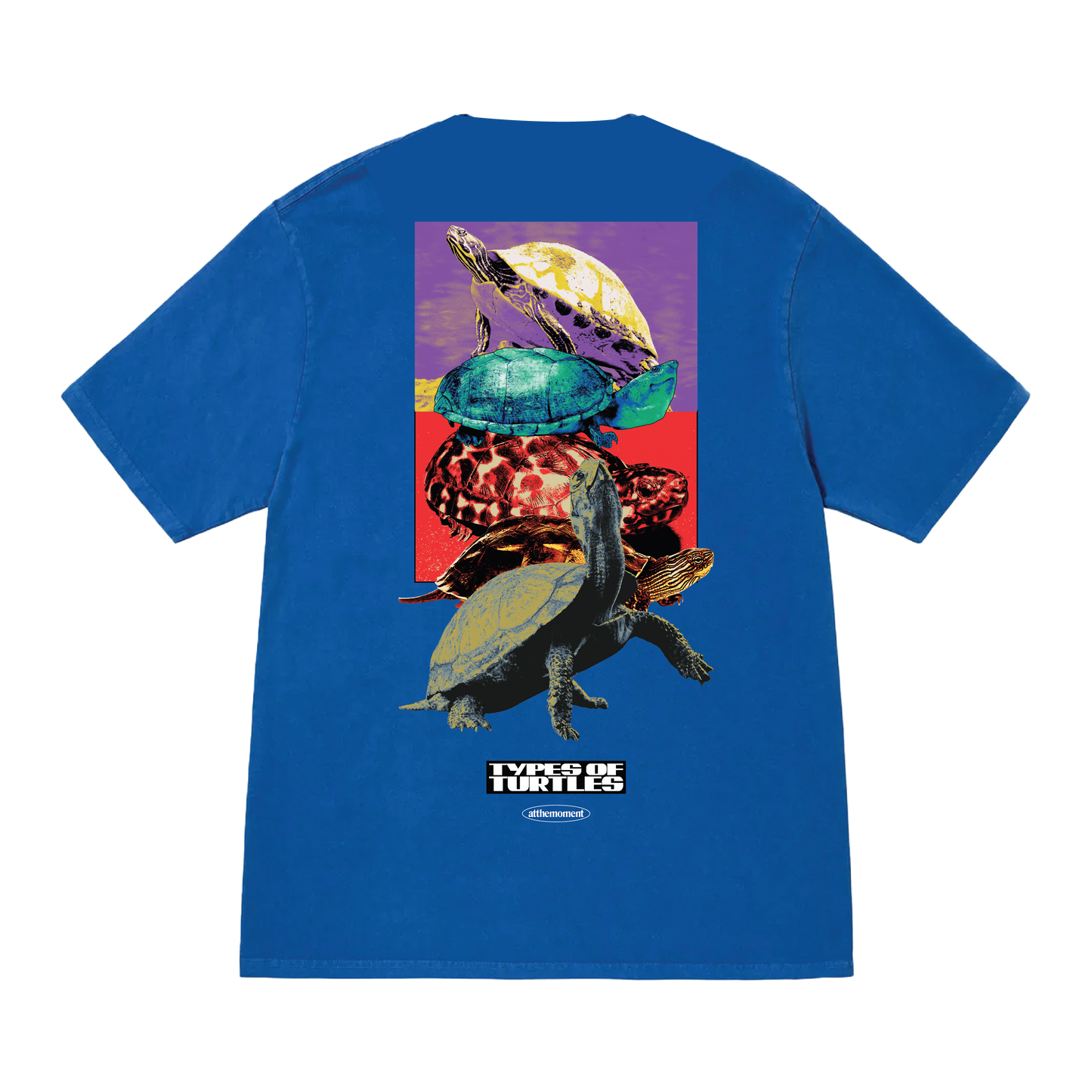 Types of Turtles Tee