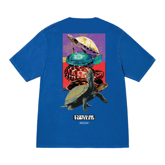 Types of Turtles Tee